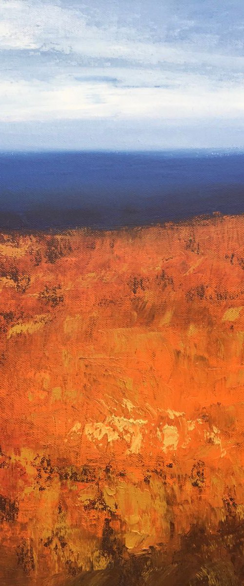 Devon Moorland by Laure Bury