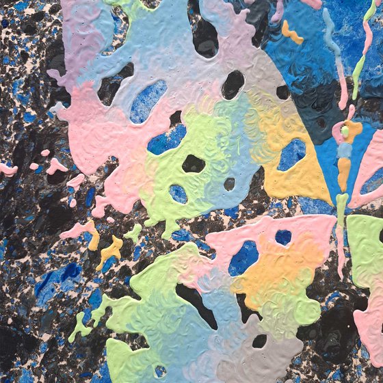 Butterfly «Night Rainbow»