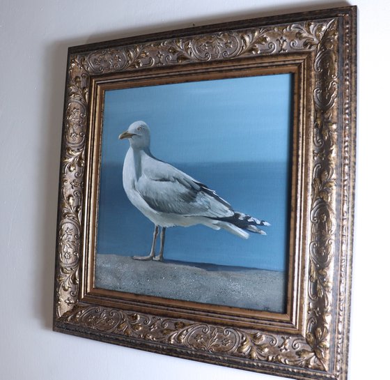 Lockdown Morning Chorus Series - By the Sea, Seagull Painting, Bird Art by Alex Jabore