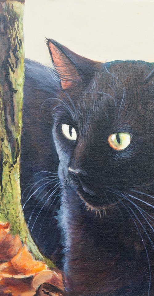 Gato negro en el bosque by Norma Beatriz Zaro