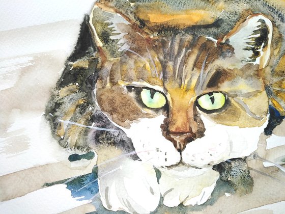 Cat watercolor