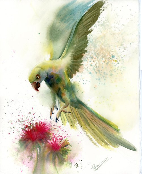 Parrots and flower by Olga Shefranov (Tchefranov)