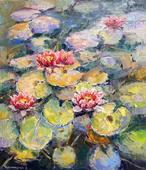"Water lilies"