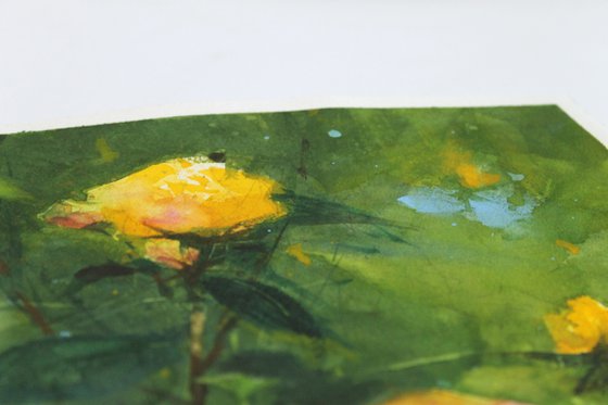 Summer Breath of Yellow Blooms