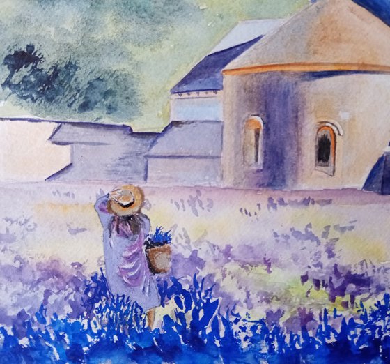 Bougainvillea and lavender