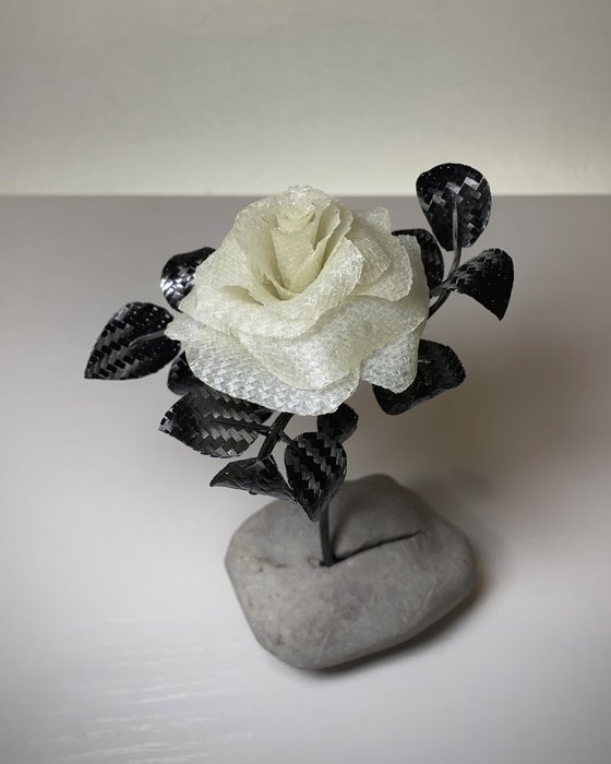 Perseverance finds a way