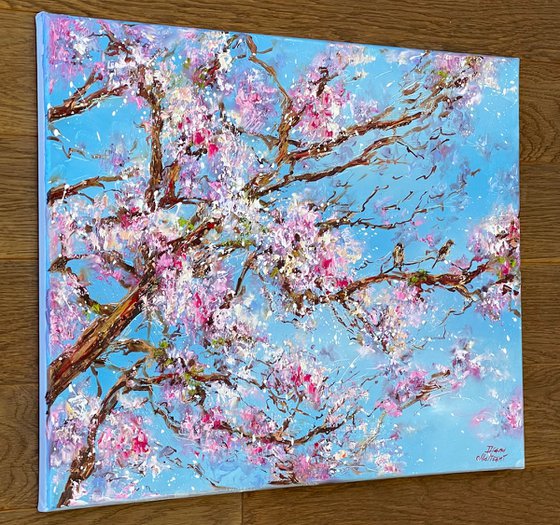 Sakura