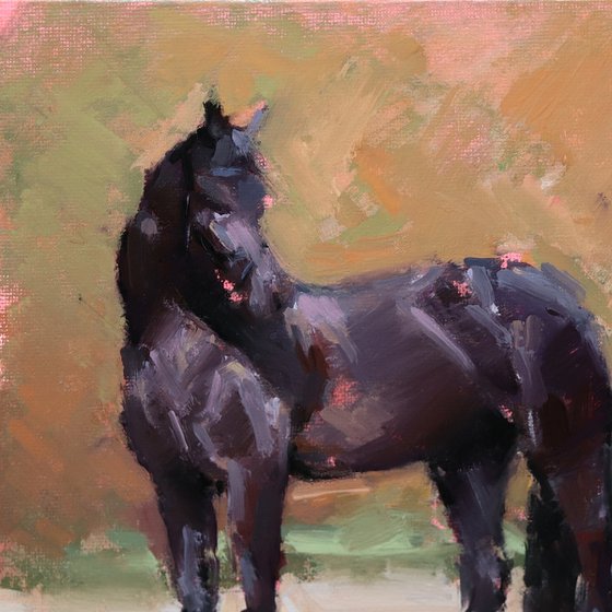 Black Horse Study