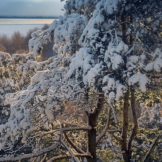 Morning after snowfall.