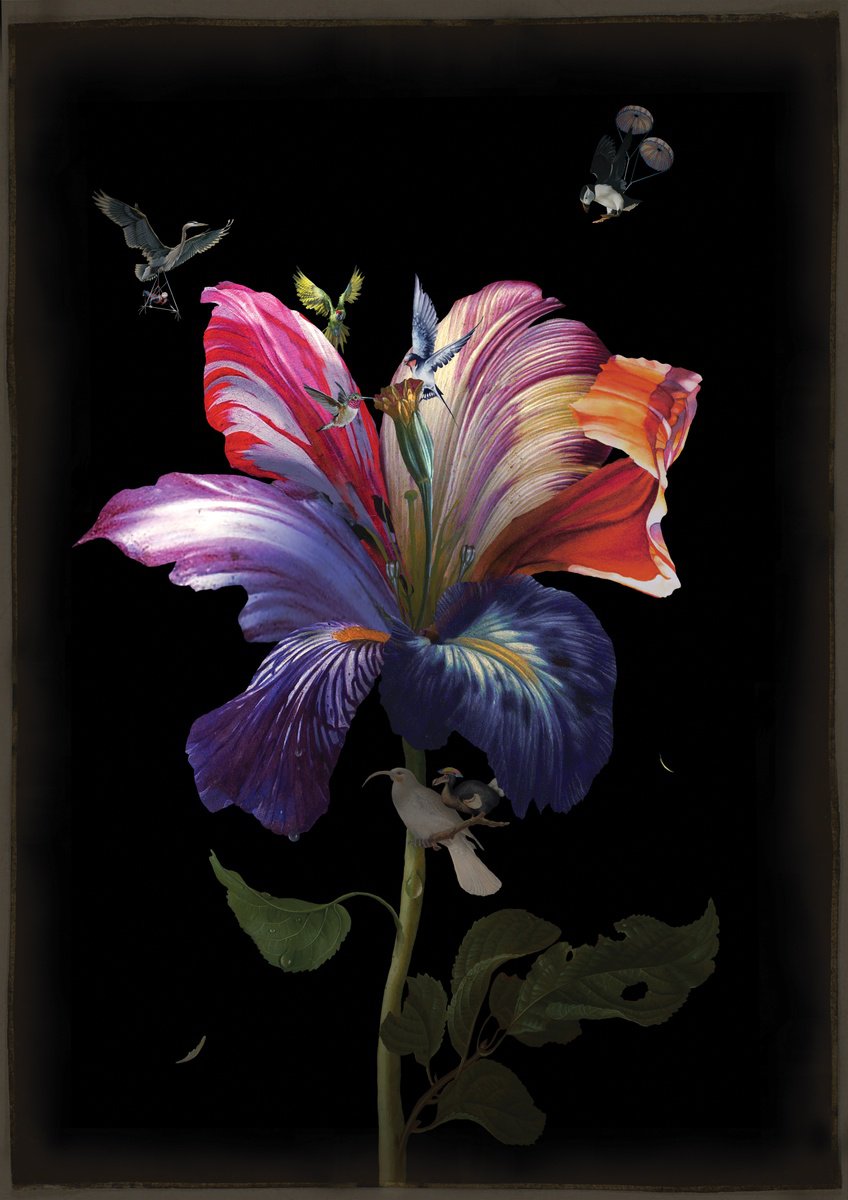 Surrealistic Botanical Giclee Print By Rosco Brittin, 17 X 23", Uncommon Kiss, Original Artwork