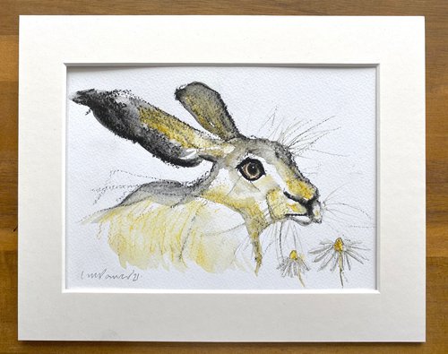 Daisy Hare #08 by Luci Power