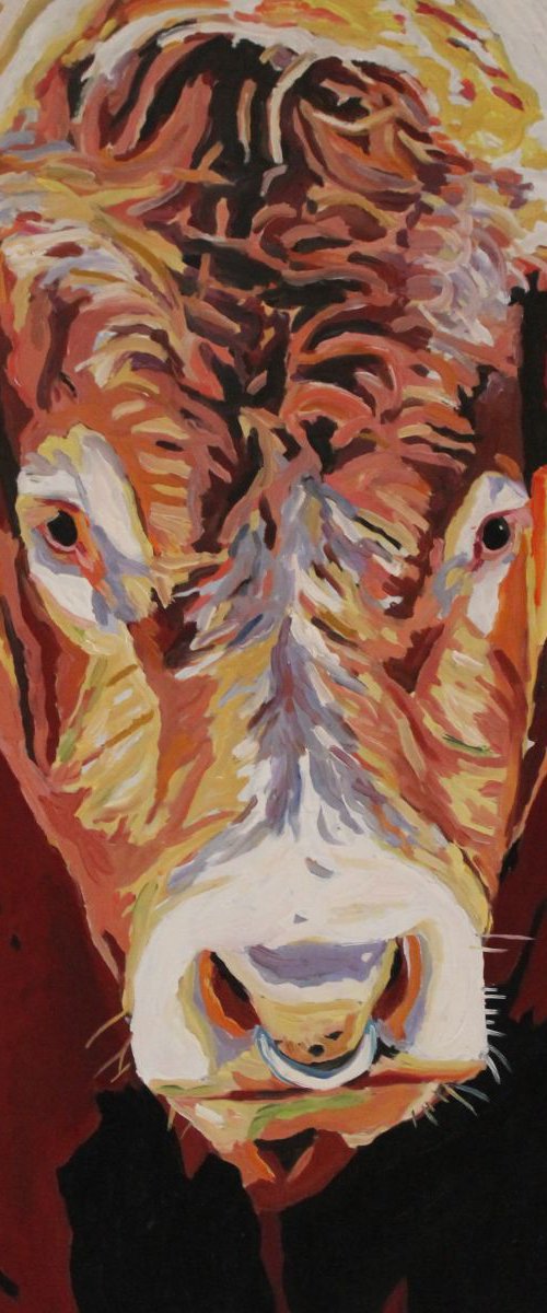 Geraint the Gower Bull by Emma Cownie