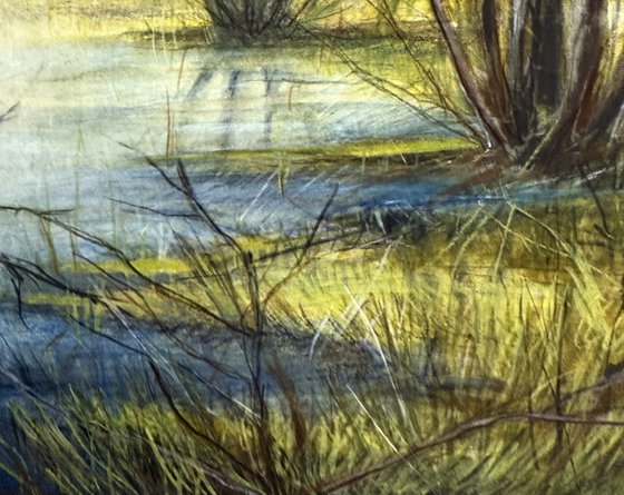 Swamp in Anykščiai (Lithuania)