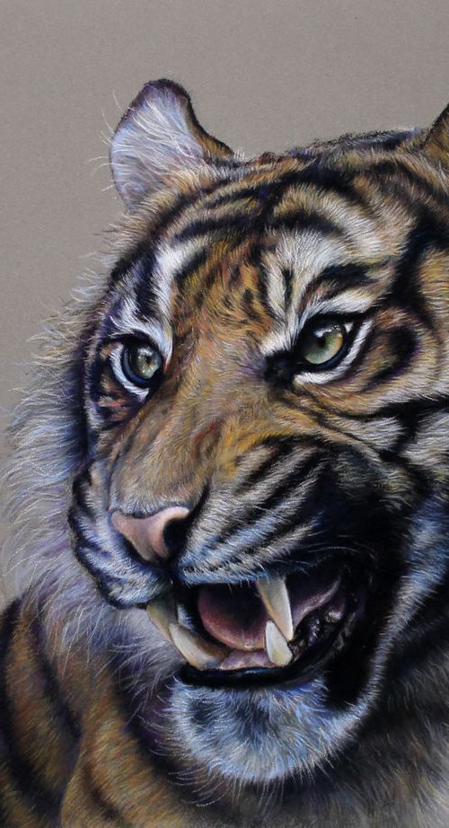 Roaring Tiger by Tatjana Bril