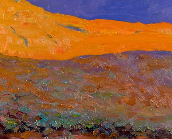 Sunset in the Desert. Arizona