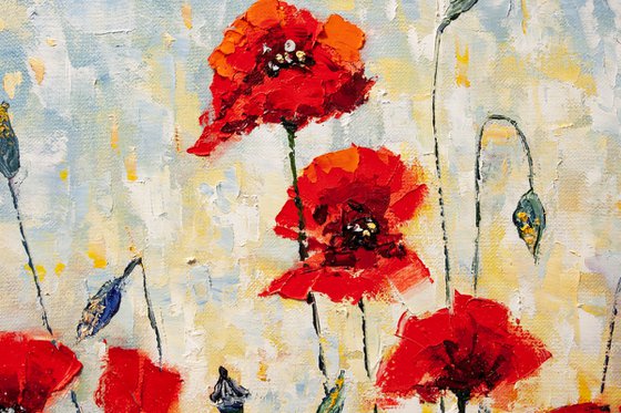 Happy summer , poppies