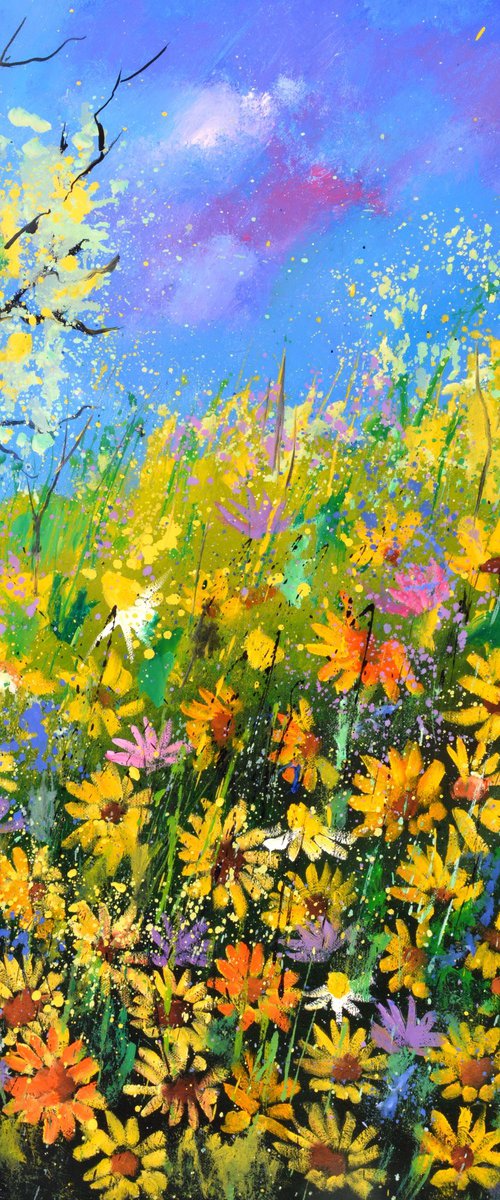 Daisies in summer by Pol Henry Ledent