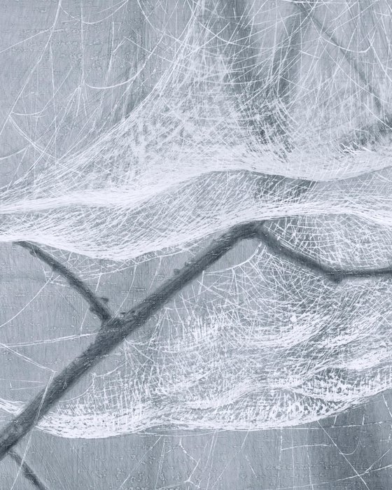 Spiderweb: Silk Dome