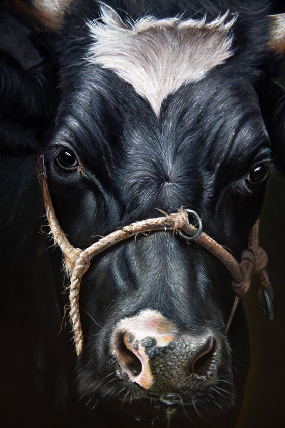 Black, beauty and strong