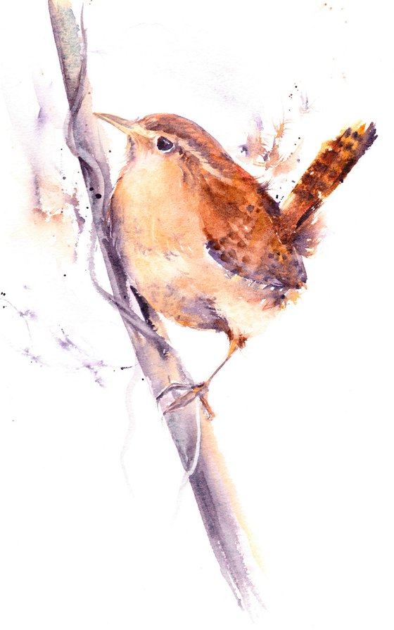 Wren painting, Wren in watercolour, Original Watercolour Bird painting