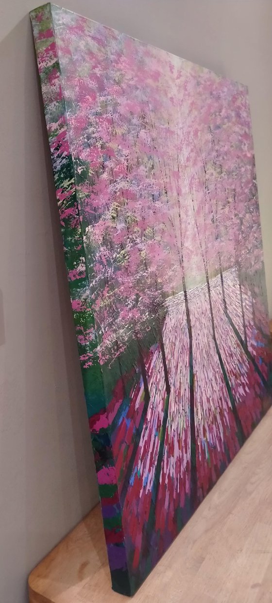 Spring Lights