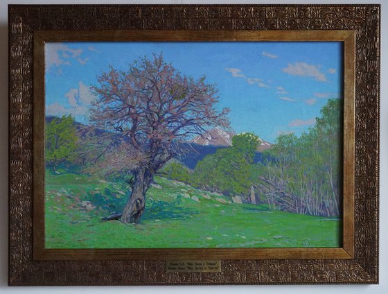 May. Spring in Teberda