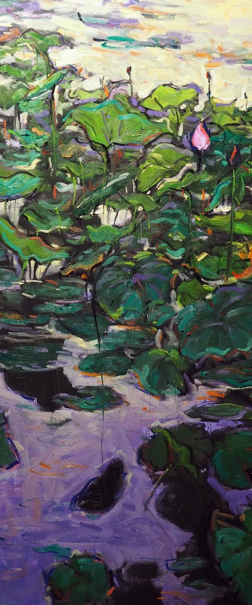 Lotus leaves by Yuanyuan Liu