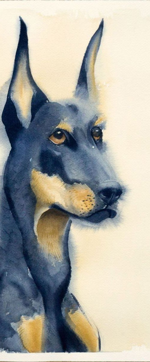 Doberman pinscher Dog portrait by Olga Tchefranov (Shefranov)
