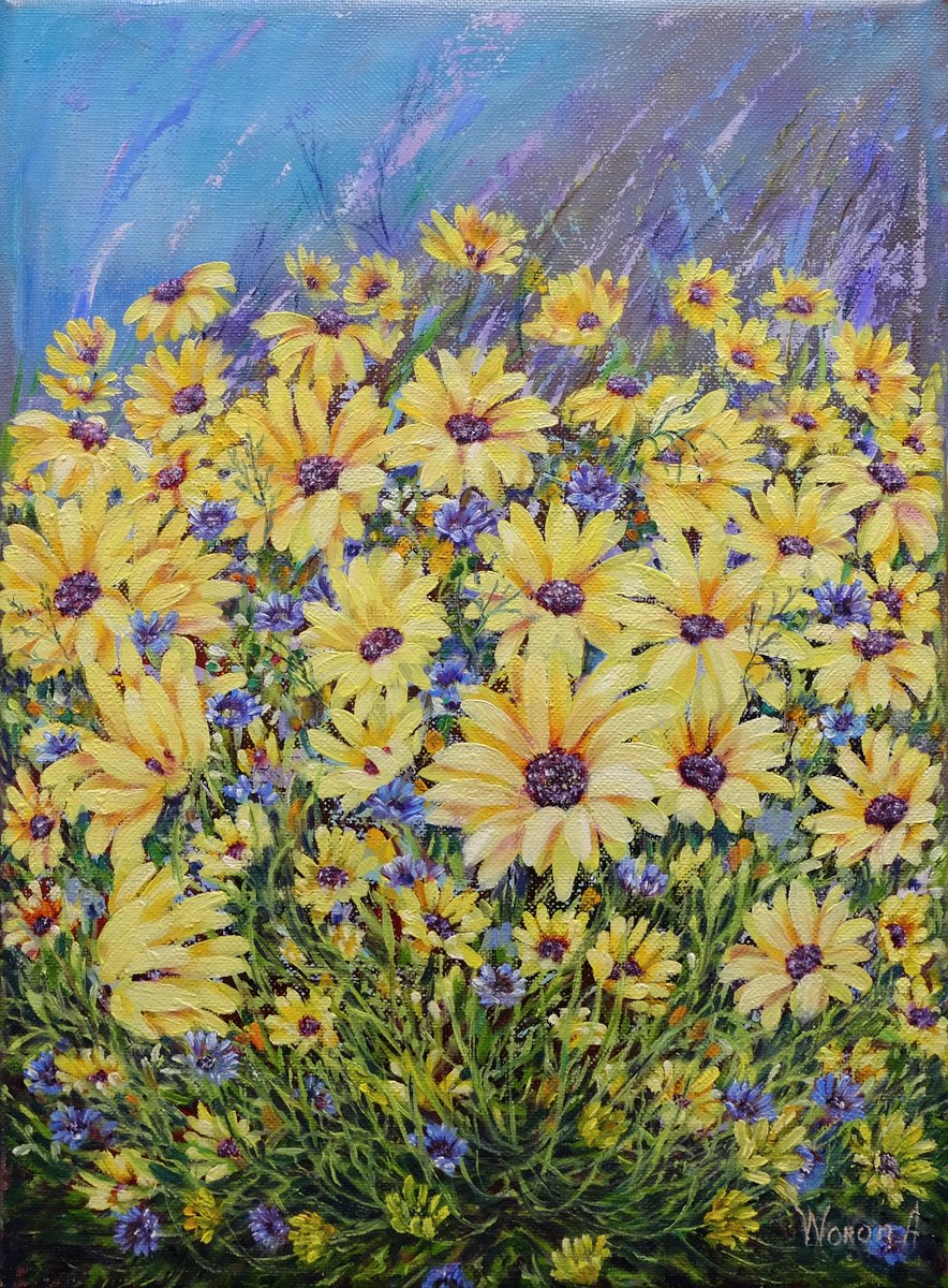Yellow daisies. by Anastasia Woron