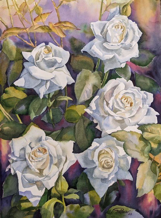 White Roses#2