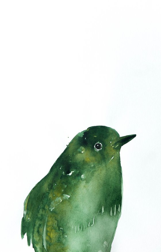 Birds, Set of 6