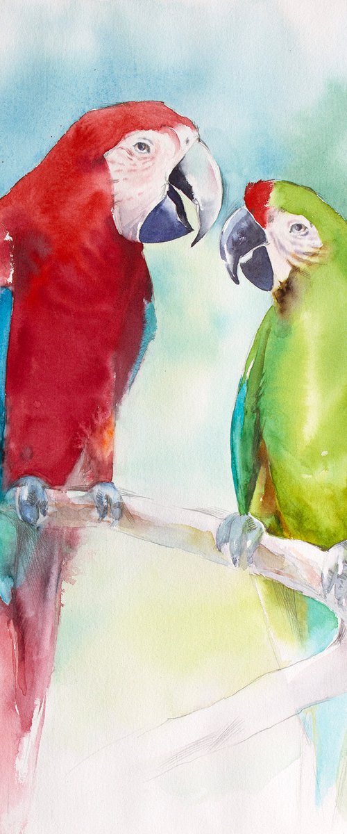 Couple of parrots by Natalia Galnbek