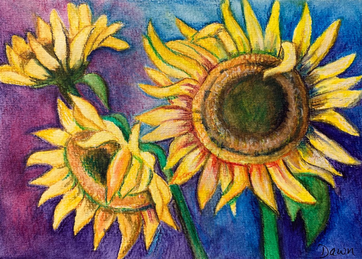 Sunflowers by Dawn Rodger