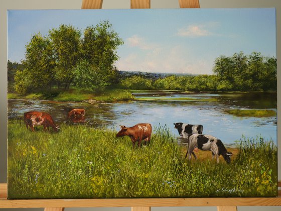 Pastoral Farming, Cows at Watering Place