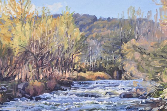 The Loire, autumn morning