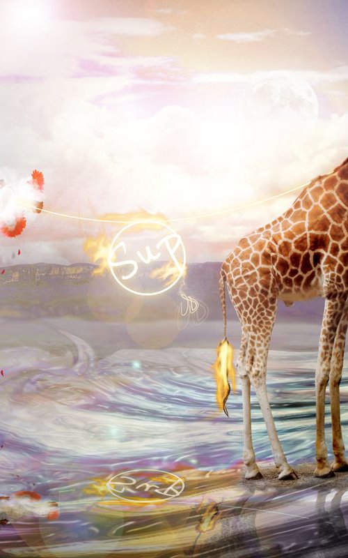 Giraffe by Vanessa Stefanova