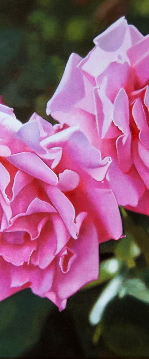 Pink Roses by Valeri Tsvetkov