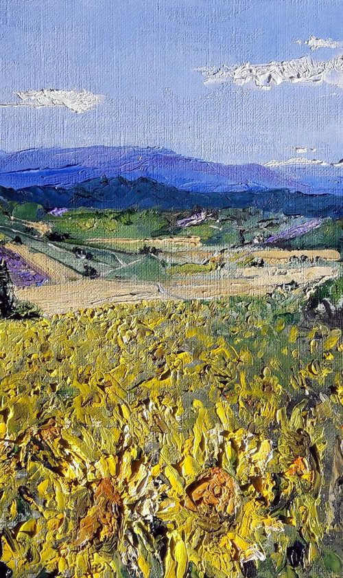 Road to the Lavender (La route de la lavande) by Chris Walker