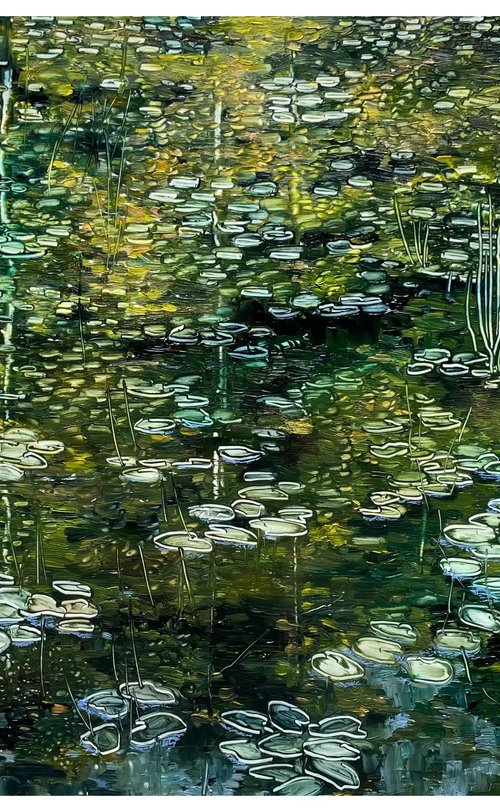 pond in the forest park by Maija Nochevnaya