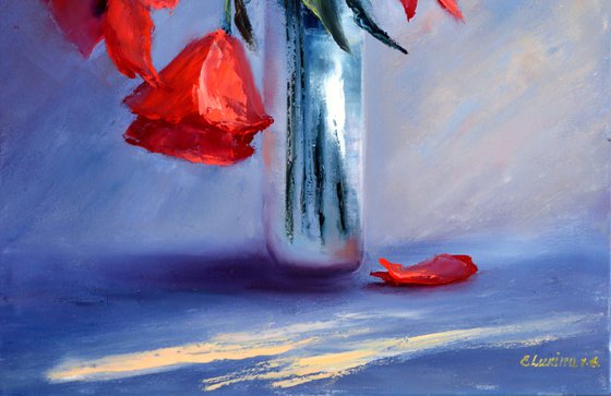 Red poppies on blue