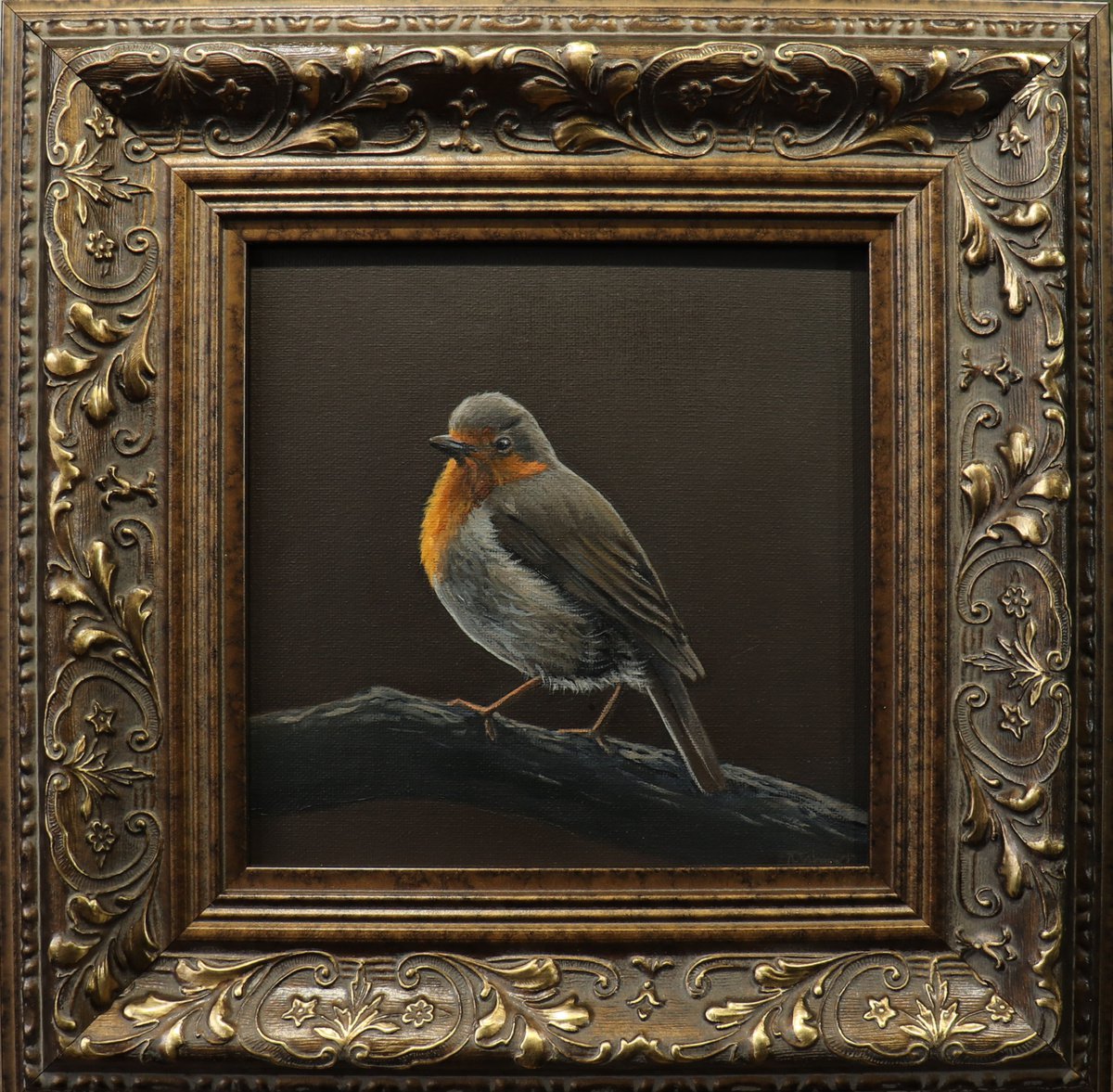 Morning Chorus Series - Red Robin, Bird Artwork, Animal Art Framed by Alex Jabore Paintings and Prints