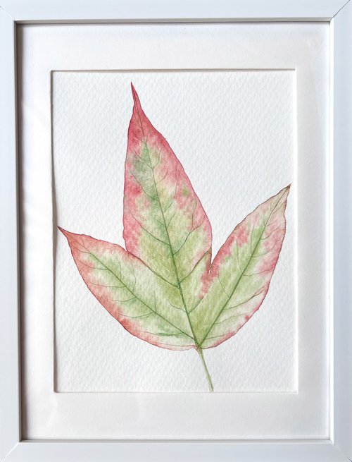 Autumn leaf Sketch #3 by Tetiana Kovalova