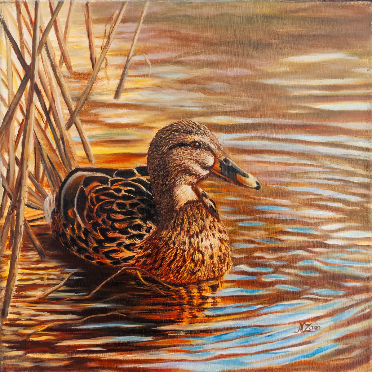 Photorealistic Animal Oil Painting By Norma Beatriz Zaro, 12 X 12", Duck In The Pond, Original Artwork