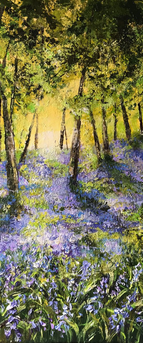 Bluebells no2 by Colette Baumback