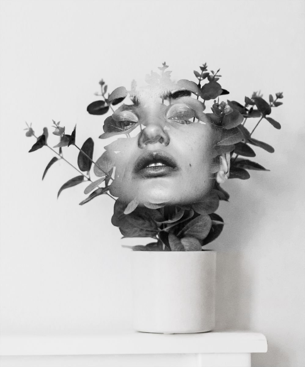 Illustrative Portrait Photograph By Srdjan Jevtic, 33 X 39", Vase, Original Artwork