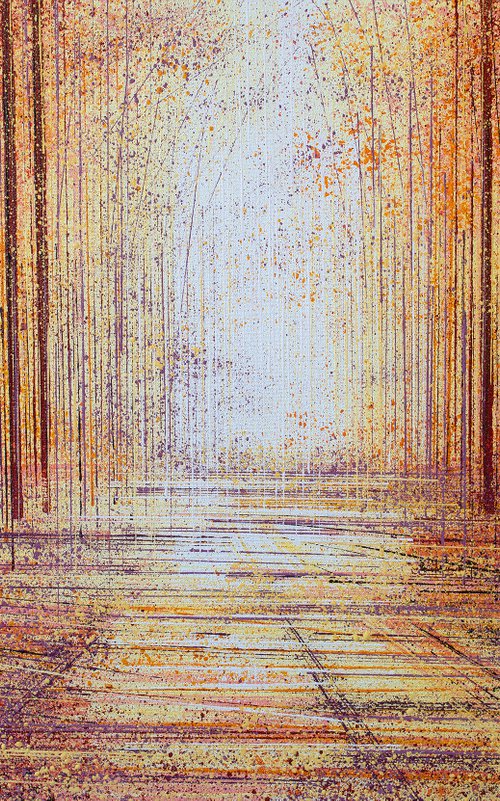 Forest Trees At Sunset by Marc Todd