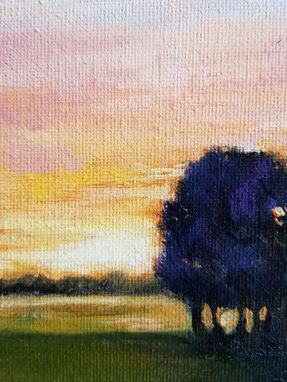 Sunset. Last minutes - 20 x 20 cm landscape oil painting (2019)