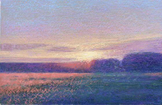 Field Of Light