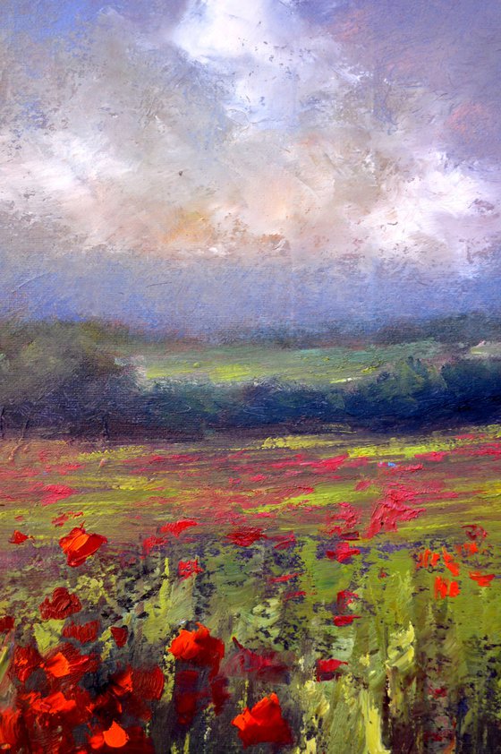 Landscape with poppy field