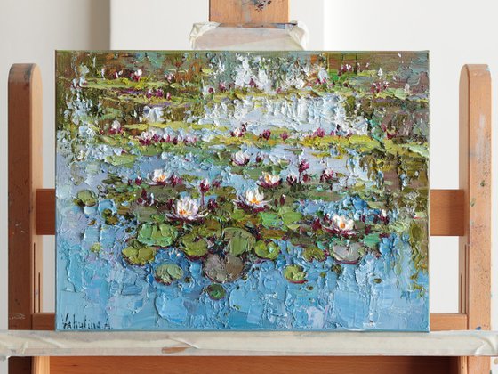 Water Lilies in the Pond
